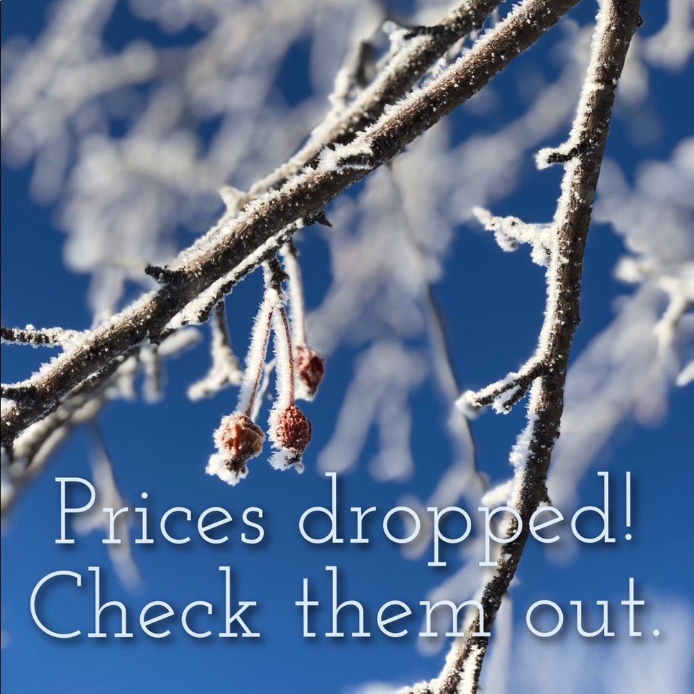 Closet Price Drop!